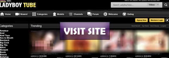 one of the greatest pay ladyboy porn tubes