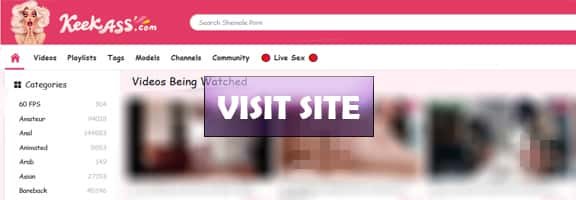 my favorite 100 free tranny sex websites